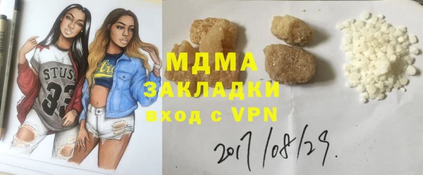 индика Надым